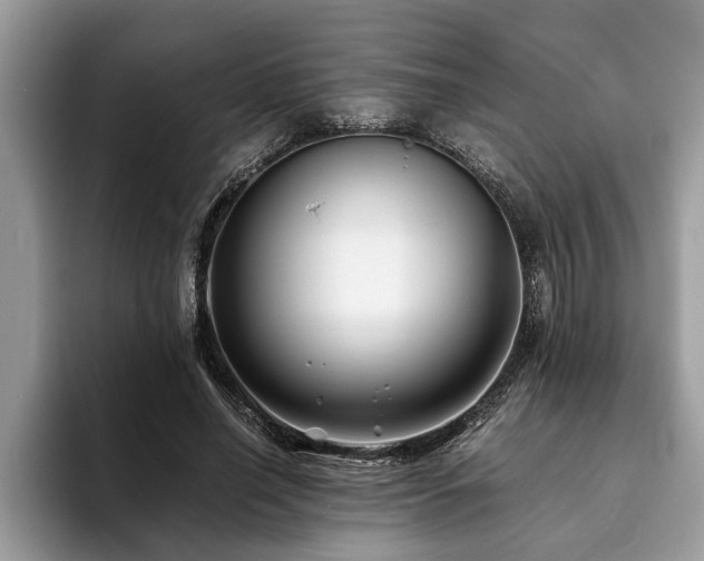 X0000094080638200710191422