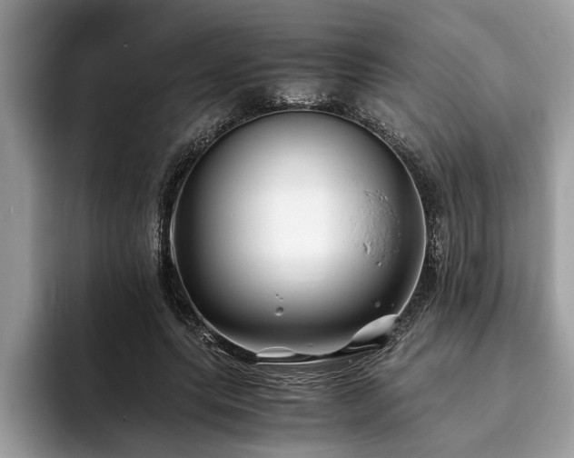 X0000094080639200710191422