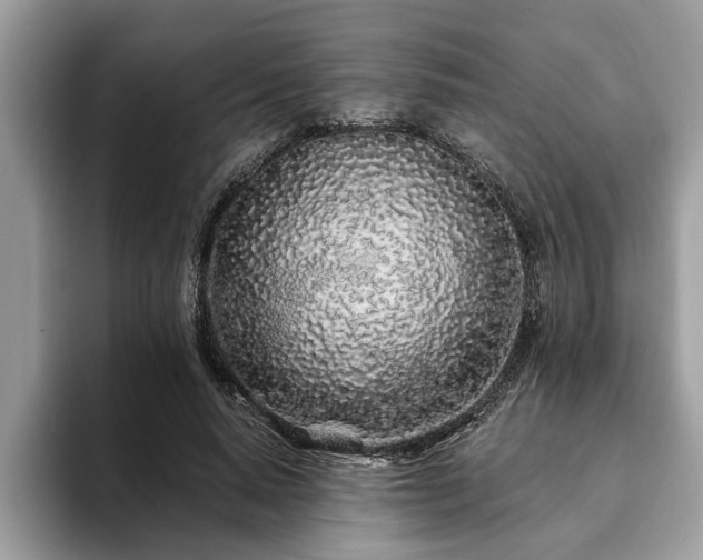 X0000094080640200710191422