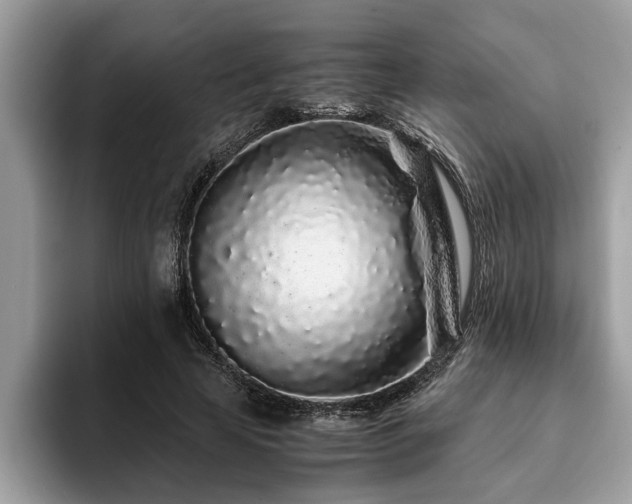 X0000094080641200710191422