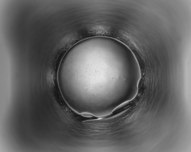 X0000094080643200710191422