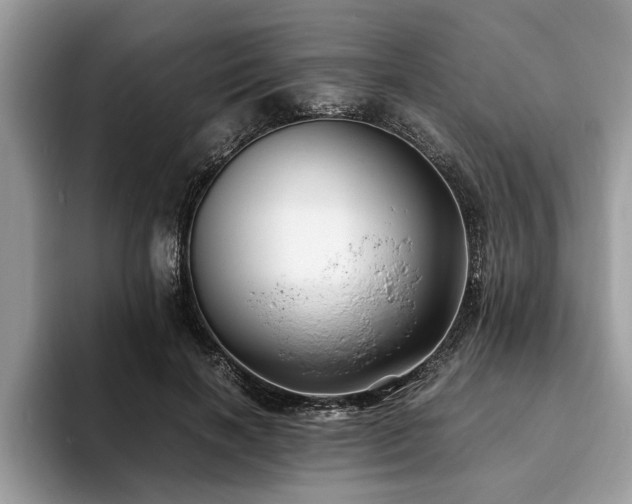 X0000094080646200710191422