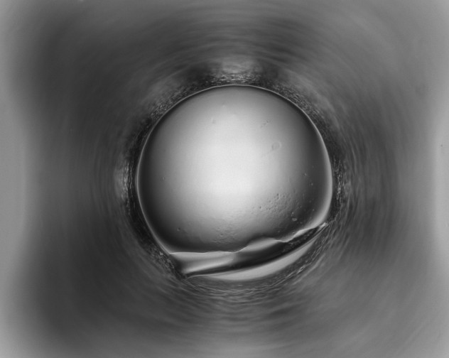 X0000094080647200710191422