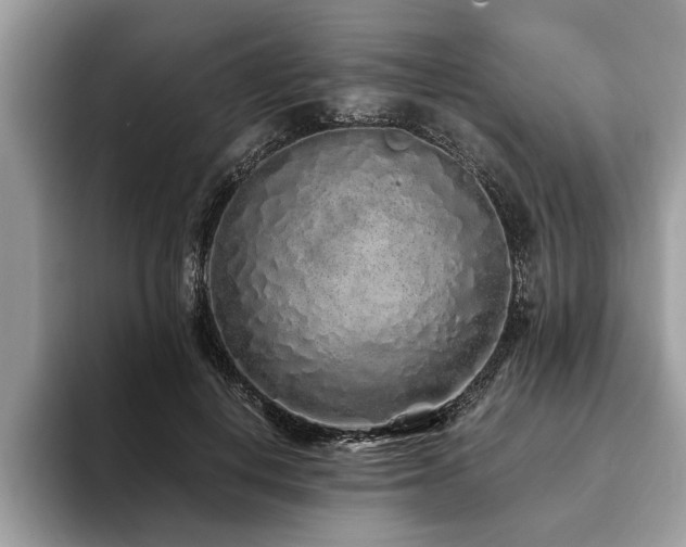 X0000094080648200710191422