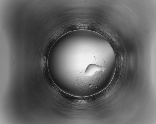 X0000094080649200710191422