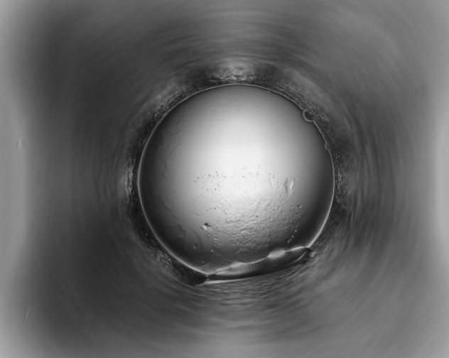 X0000094080652200710191422