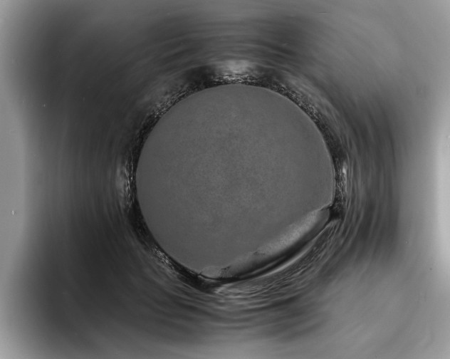 X0000094080653200710191422