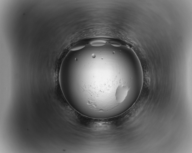 X0000094080657200710191422