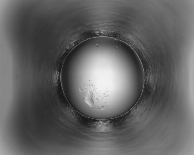 X0000094080660200710191422