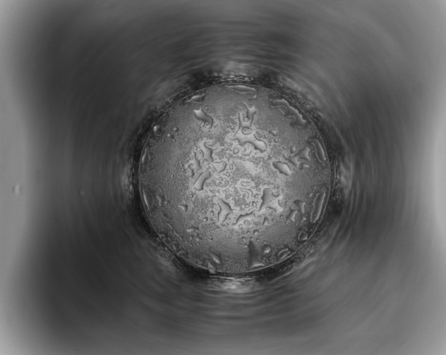 X0000094080663200710191422