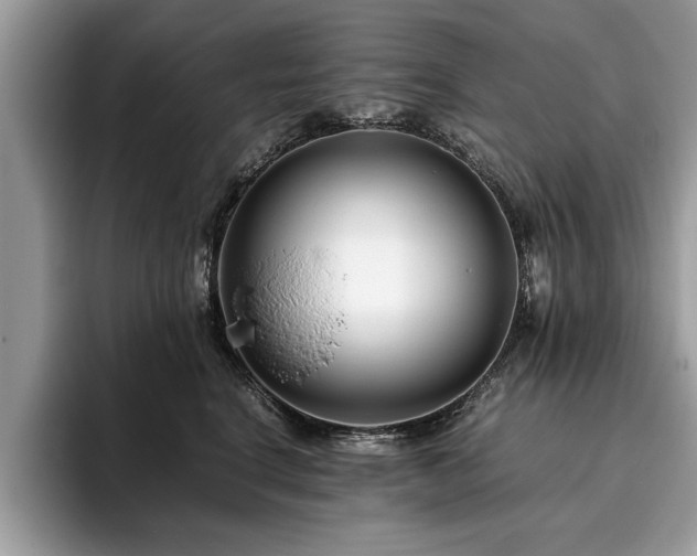 X0000094080664200710191422