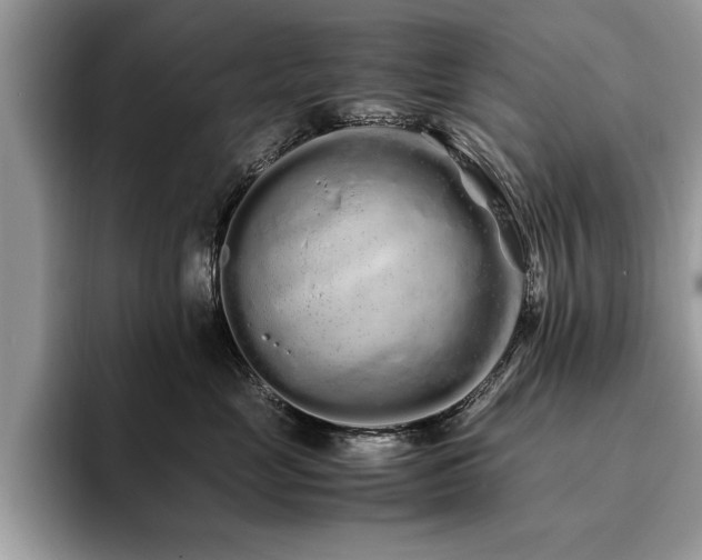 X0000094080669200710191422