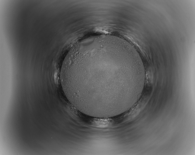 X0000094080671200710191422