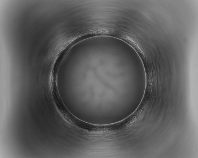 X0000094080674200710191422