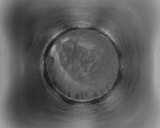 X0000094080679200710191422