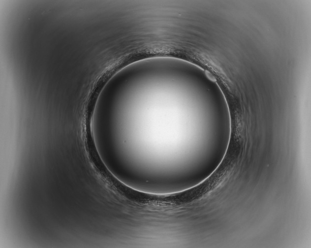 X0000094080681200710191422