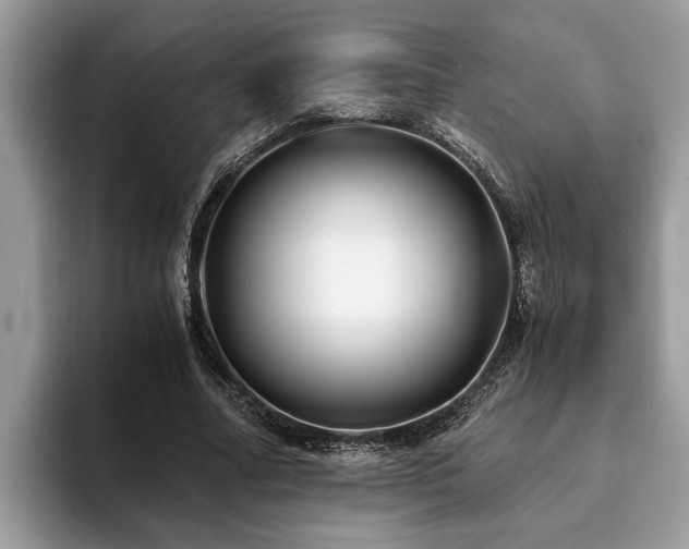 X0000094080682200710191422