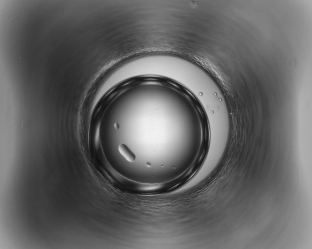 X0000094080684200710191422