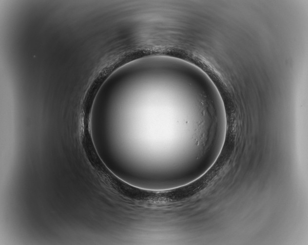 X0000094080685200710191422