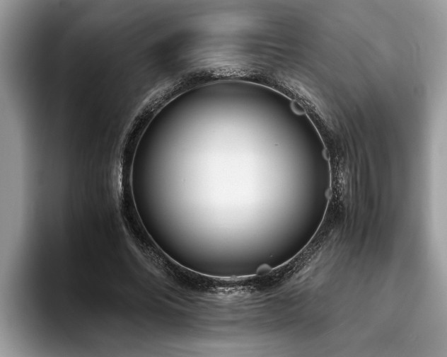 X0000094080686200710191422