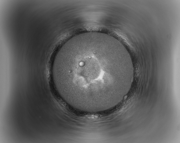 X0000094080687200710191422