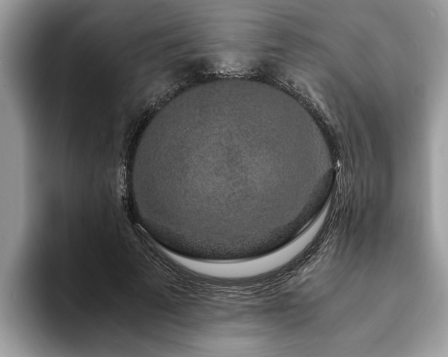 X0000094080689200710191422