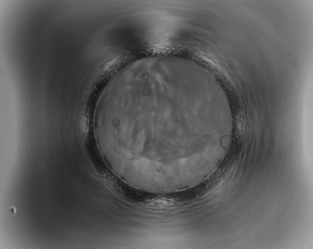 X0000094080691200710191422