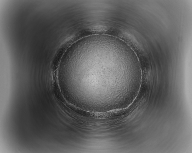 X0000094080692200710191422