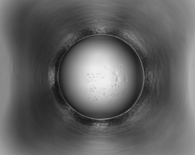 X0000094080694200710191422