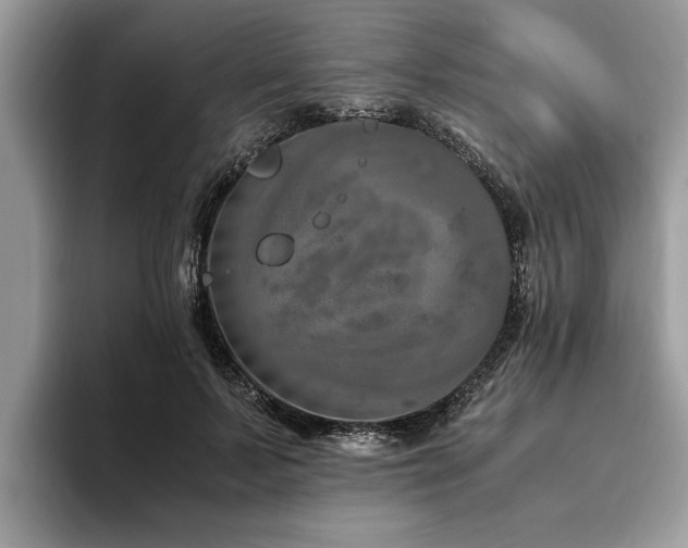 X0000094080695200710191422