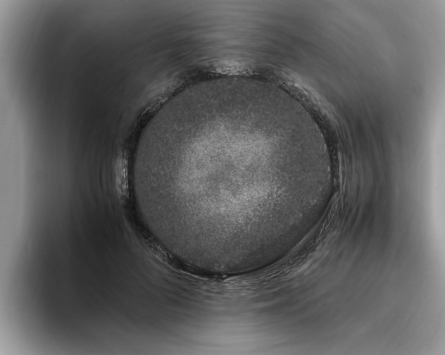 X0000094080696200710191422