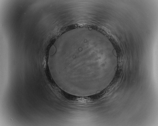 X0000094080703200710191422