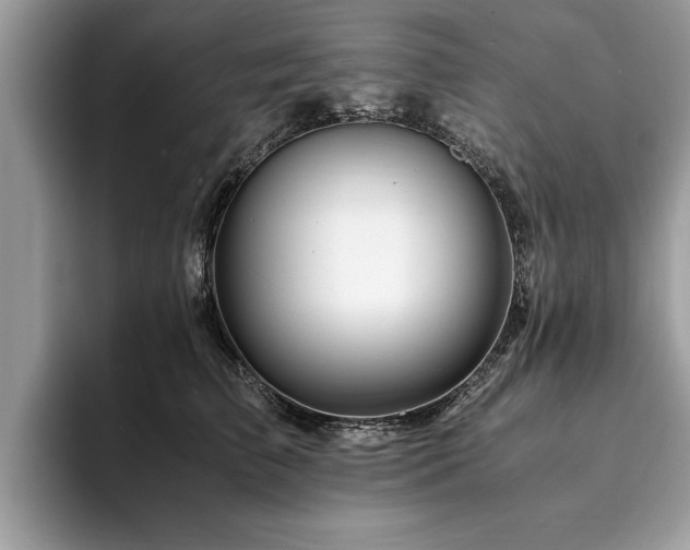 X0000094080709200710191422