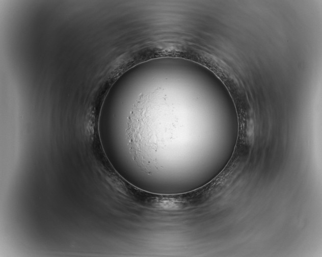 X0000094080710200710191422