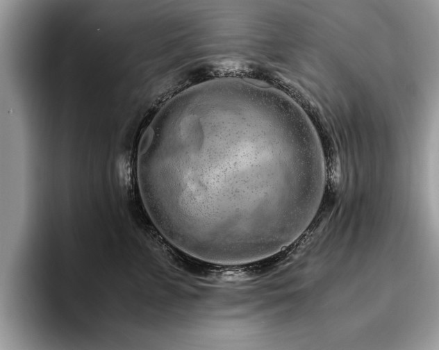 X0000094080715200710191421