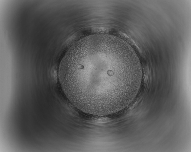 X0000094080716200710191421