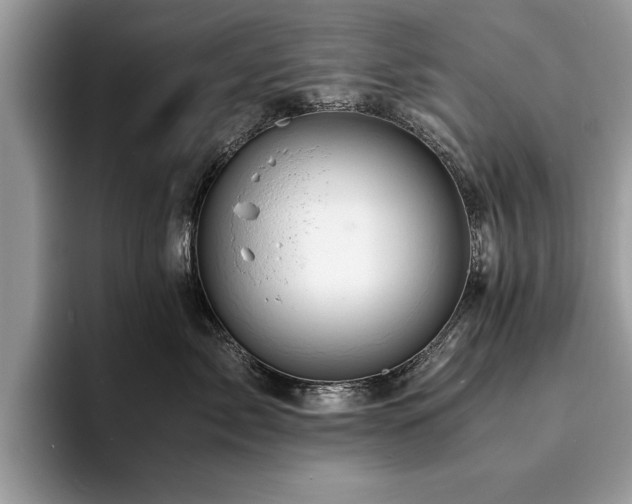 X0000094080717200710191421