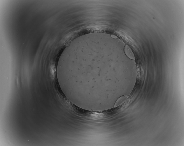 X0000094080718200710191421