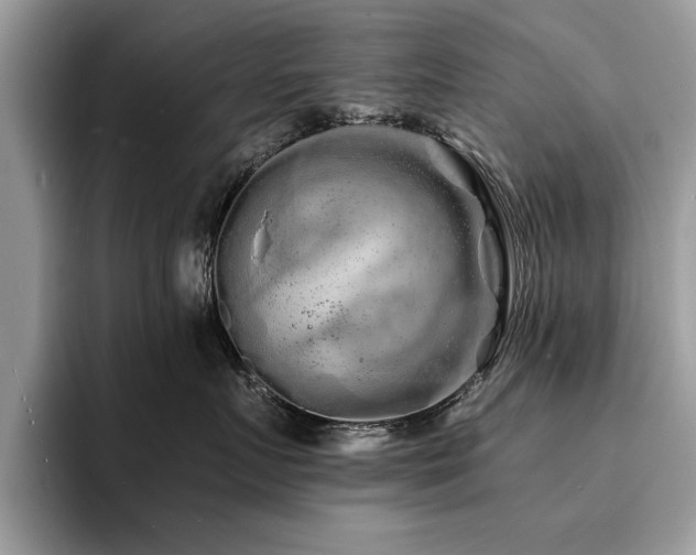 X0000094080719200710191421