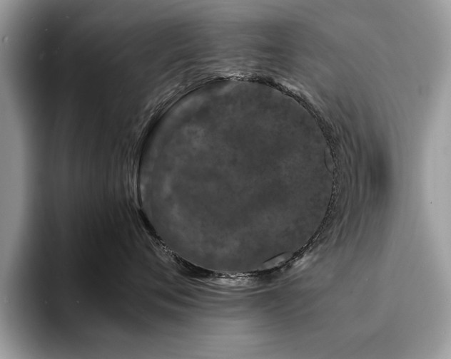 X0000094080720200710191421