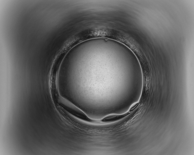 X0000094080722200710191421