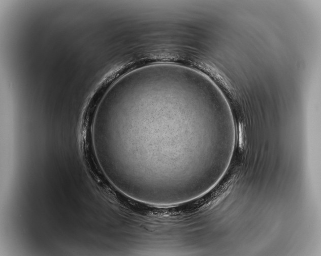 X0000094080723200710191421