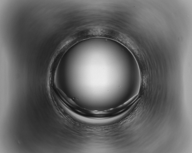 X0000094080724200710191421