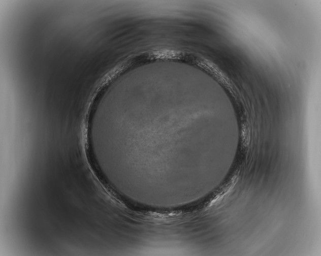 X0000094080725200710191421