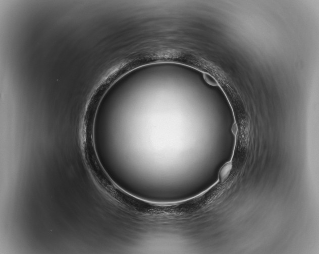 X0000094080726200710191421