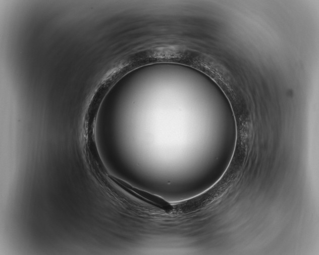 X0000094080727200710191421