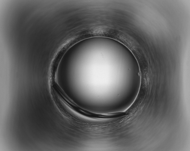 X0000094080728200710191421