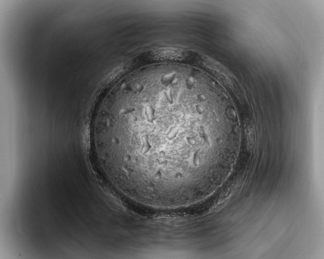 X0000094080729200710191421