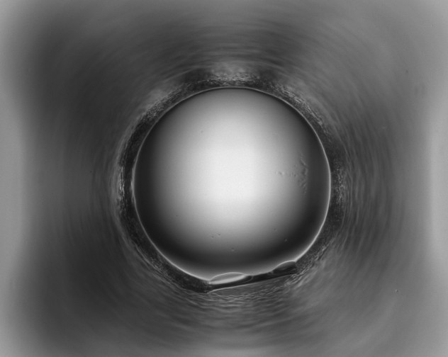 X0000094080731200710191421