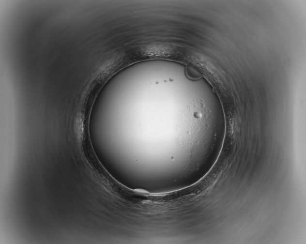 X0000094080733200710191421